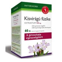 Napi1 KISVIRÁGÚ FÜZIKE Extraktum kapszula 150 mg 60 db Napi1 KISVIRÁGÚ FÜZIKE Extraktum kapszula 150 mg 60 db