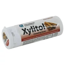 Xylitol Rágógumi Fahéj 30db Xylitol Rágógumi Fahéj 30db
