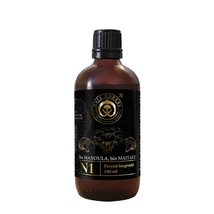 Naja Forest N1 folyékony gombakivonat 100ml Naja Forest N1 folyékony gombakivonat 100ml