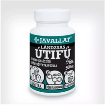 JAVALLAT LÁNDZSÁS ÚTIFŰ kapszula 500mg 60db JAVALLAT LÁNDZSÁS ÚTIFŰ kapszula 500mg 60db