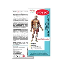 MOTTO fájdalomcsillapító tapasz 2db MOTTO fájdalomcsillapító tapasz 2db