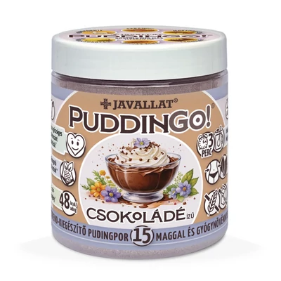 PuddinGo!® CSOKOLÁDÉ ízű instant pudingpor 300g
